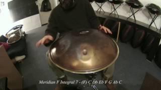 Meridian Handpan - F Integral 7