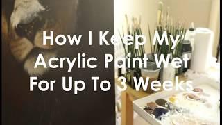 Keeping acrylic paint wet with Masterson Sta-Wet Palette