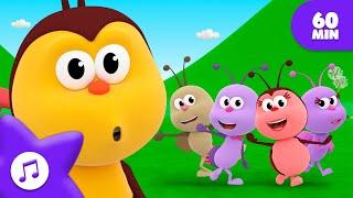 Five Little Bugs on an Adventure Nature Expedition Song! Boogie Bugs  Kids Songs