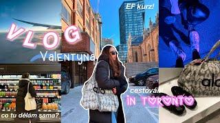 dva týdny jsem sama v Torontu! ️ | vlog #1