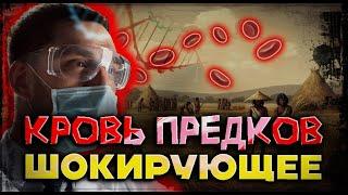 Почему II группу крови называют «кровью крестьян»: 3 научных факта
