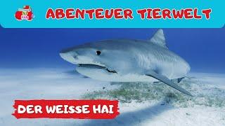 Abenteuer Tierwelt | Weißer Hai | Tiere lernen für Kleinkinder