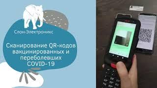 Сканируем QR-код вакцинированных и переболевших COVID-19