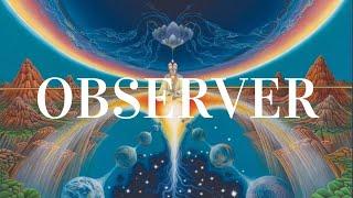 You are the observer