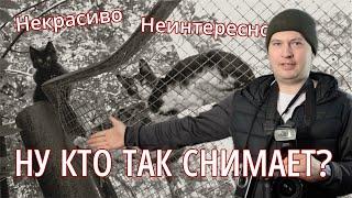 Твои снимки недостаточно хороши