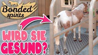 Penny ist krank  My Horse: Bonded Spirits | 09