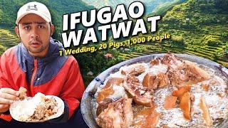 Eating Authentic WATWAT sa IFUGAO! 1 Wedding, 20 Pigs, 1,000 People! RARE Ifugao Wedding in 24 hrs!