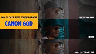 How I color grade standard profile  looks like Arri Alexa log c CANON 60D