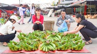 Harvest Ripe Bananas Goes To Sell At The Countryside Market - Cooking Dishes From Green Bananas