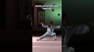 Martial Arts of Chin Woo Tantui #3. #neuquen #kungfu #claseskungfu #martialarts