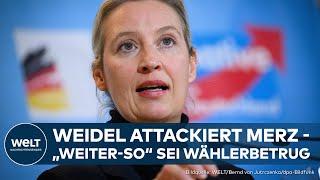 ALICE WEIDEL IM WAHLKAMPFMODUS: AfD will Kernkraft, Grenzschließungen und Steuererleichterungen