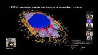 Microbiology