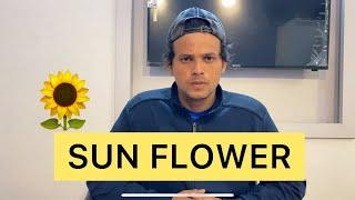 Sun flower | Zayn saifi | Talib saifi