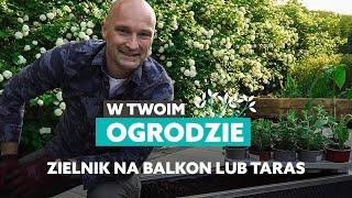 Uprawa ziół na balkonie lub tarasie [W Twoim ogrodzie]