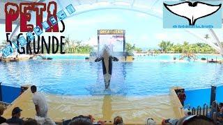 PETA's myths about Loro Parque refuted