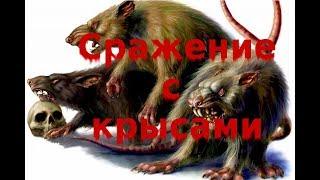 Сражение с крысами. Отрывок из книги "Антисвинизм или необычайная история одного восстания"