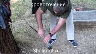 Святой Николай Новый из Вунен. Кровоточение