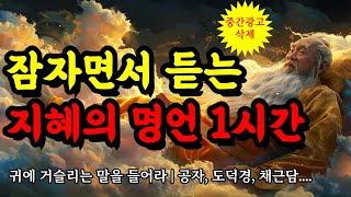 잠자면서 듣는 지혜의 명언 1시간 | 공자, 도덕경, 채근담, 탈무드, 쇼펜하우어 | 귀에 거슬리는 말을 잘 들어라