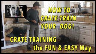 CRATE Training Your Dog  - EVERYTHING You Need to Know to Get YOUR DOG to LOVE the CRATE