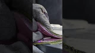 Центробежное литье. Что это такое на примере литья бусин!  #литьё