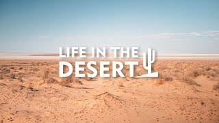 City On A Hill Online | Life In The Desert - Pr. Alan Lim [Feb 7, 2021]