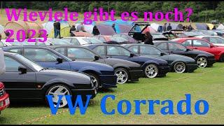 VW Corrado | wie viele gibt es noch? | Bestand 2023