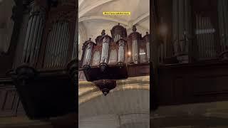 Blois cathedral instruments playing #france #blois #france #yt #ytindiashorts #france #travel