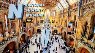 Natural History Museum, London | 4K 60FPS Video Tour 2023