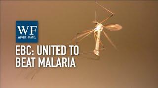 'We're trying to do good things, not just wave a flag': EBC unites to beat Malaria | World Finance