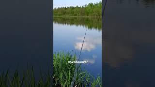 #рыбалка #fishing #неман #поклёвка #язь
