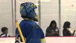 LU D1 Mens Hockey vs Delaware Blue Hens Game 2