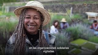 Video Presentación Nuevo Marco Integral Supervisión Supersolidaria