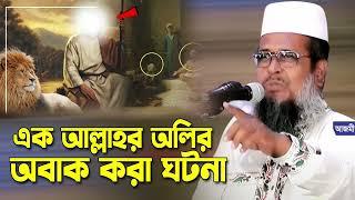 এক আল্লাহর অলির সাথে অবাক করা ঘটনা । তোফাজ্জল হোসেন ভৈরবী । Tofazzal hossain bhairovi | bangla waz