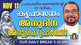 നവംബർ 11 | കൃപാസനം അനുദിന അനുഗ്രഹ പ്രാർത്ഥന | Our Daily Bread |പ്രത്യക്ഷീകരണത്തിന്റെ ഇരുപതാം വർഷം.