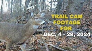 Trail Cam Footage Dec. 4-28, 2024 (4K)