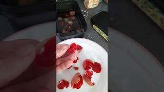 Foraging Series Video 4 -  Scarlet Elf Cup mushrooms