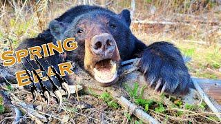 Spring Bear Hunting in the Mountain Foothills