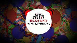 TrizzyBeatz - Fine Day (Goa Remix)