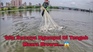 Jala Ikan Belanak Di Tengah Tengah Muara / Cast Net Mullet