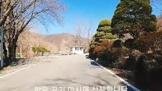 60대유튜버/산책/힐링/