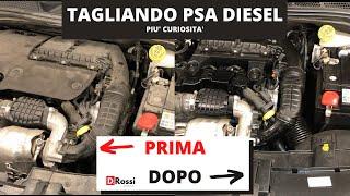 COME FARE UN TAGLIANDO DI UN AUTO ?  QUANTI CONTROLLI VENGONO FATTI IN OFFICINA ? MOTORE PSA DIESEL