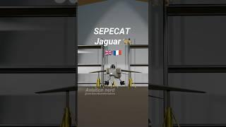 SEPECAT Jaguar  landing gear swing #aviation #aviationgeek #blender3d