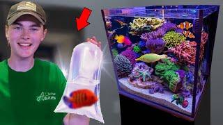 FINALLY Adding Fish to the 15G SALTWATER REEF AQUARIUM!!! (Nano Reef Tank Update)