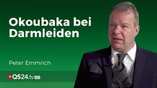 Darmerkrankungen: Okoubaka als Heilmittel | Facharzt Peter Emmrich M.A. | NaturMEDIZIN | QS24