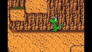 TAS Croc 2 GBC in 18:24 by RingRush