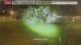 PHOTOS: Severe storms leave behind path of damage in Chicagoland