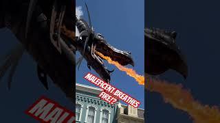 #Maleficent Breathes FIRE!? #MagicKingdom #WaltDisneyWorld