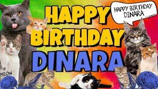 Happy Birthday Dinara! Crazy Cats Say Happy Birthday Dinara (Very Funny)