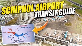 Schiphol Airport Amsterdam Terminal Tour, Entry and Exit, How to Transfer and Complete Transit Guide