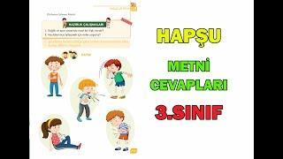 Hapşu Dinleme Metni Etkinlikleri ve Cevapları 3.Sınıf